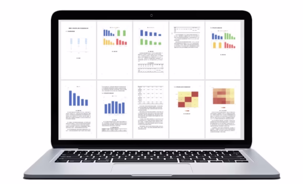 PaperNex:问卷调查类论文示例